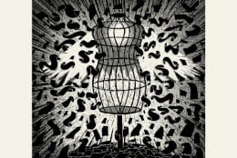Album: Sam Duckworth - The Mannequin