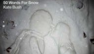 Album: Kate Bush - 50 words for snow 